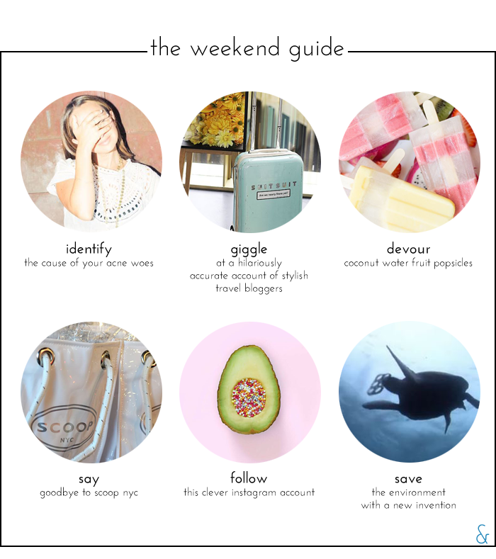 The Weekend Guide 05.20.16