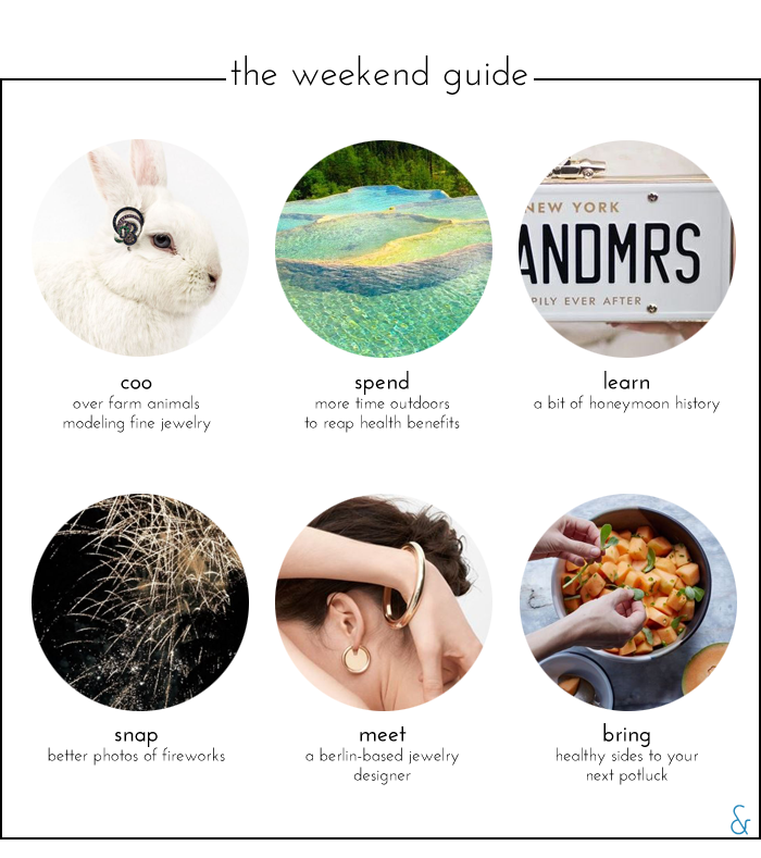 The Weekend Guide 07.01.16