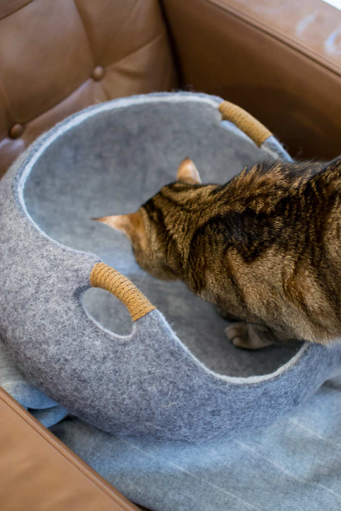 Tuft + Paw Modern Cat Furniture Review