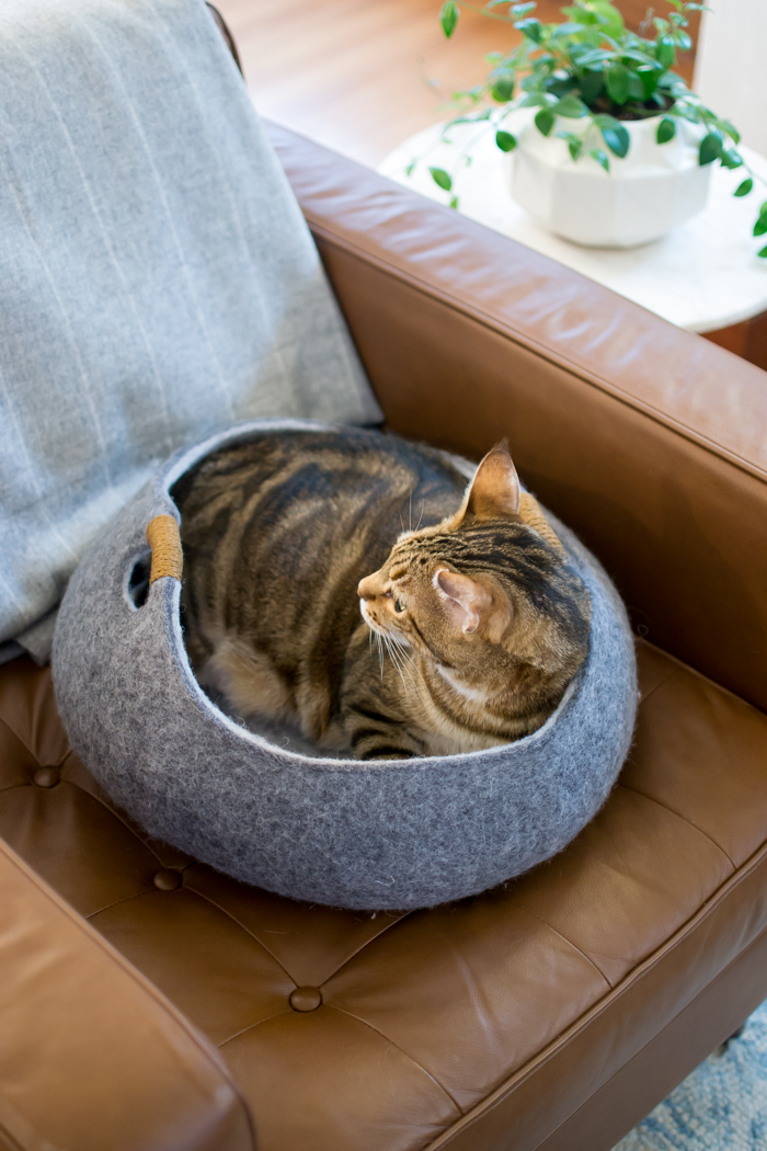 Tuft + Paw Modern Cat Furniture Review