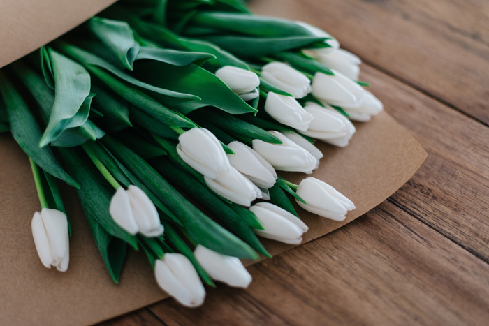 white tulips